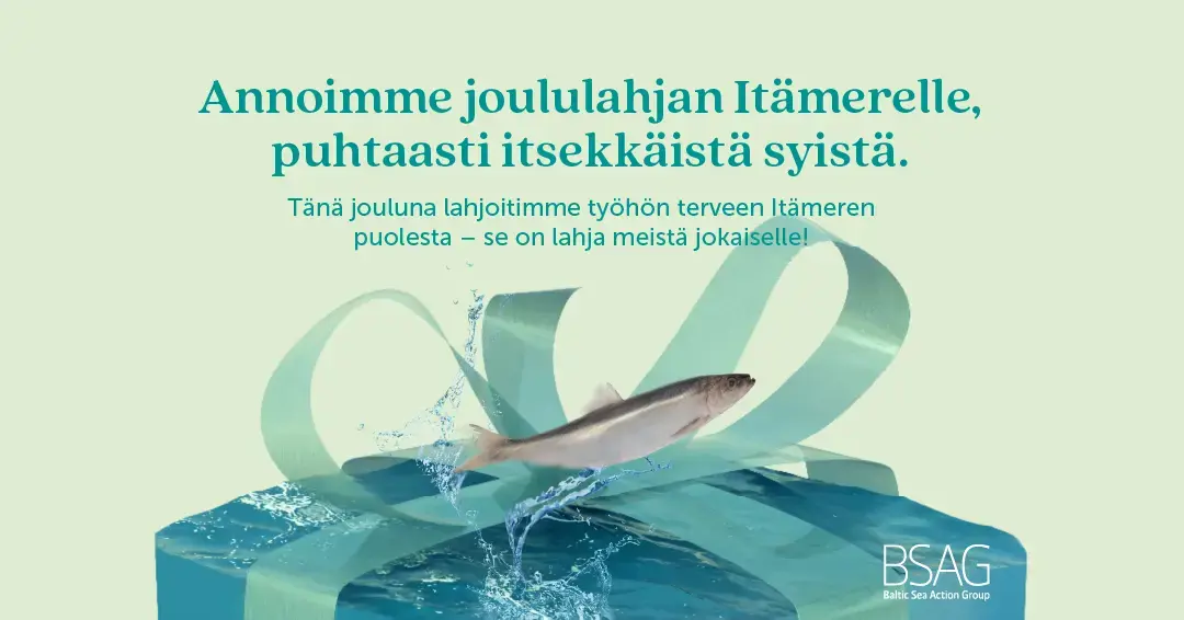 bsag_joulukamppis_fi__yritys_some_1080x566_kala.webp